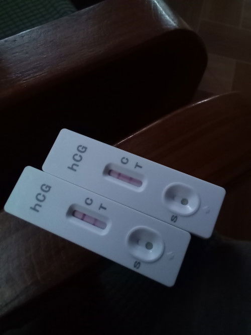 Pregnant, Not Pregnant