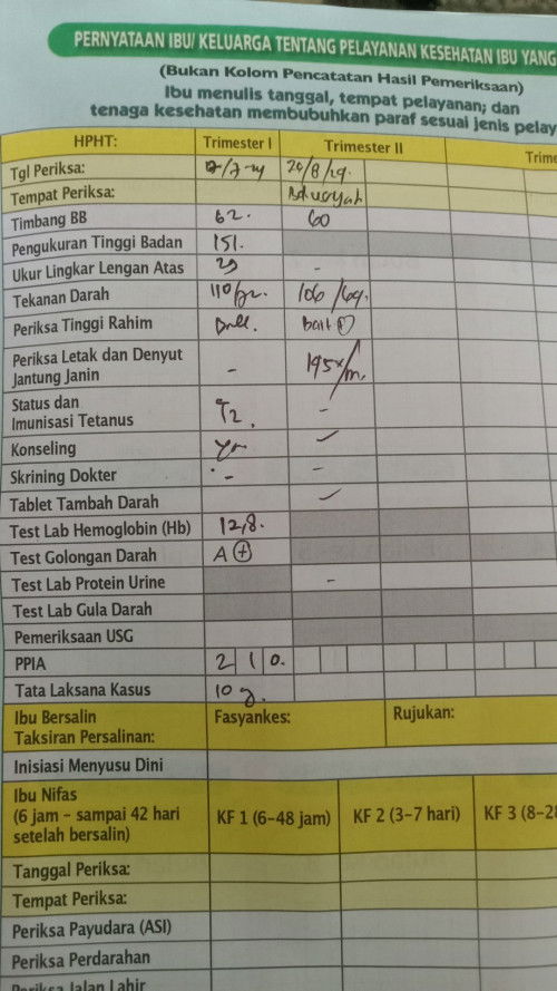 cek lab selama kehamilan berapa kali ya bund