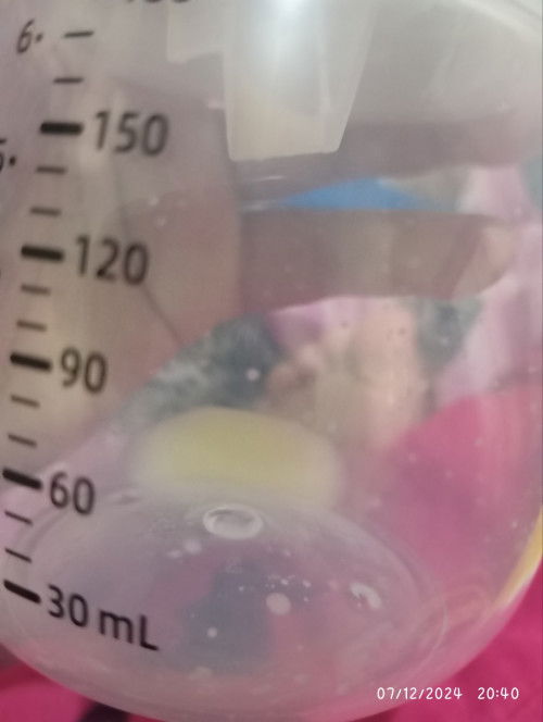 Asi seret dan puting kedalam