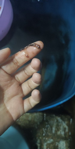 เเม่ที่ผ่านมาเห้นช่วยตอบหน่อยนะคะขอบคุณมากคะ