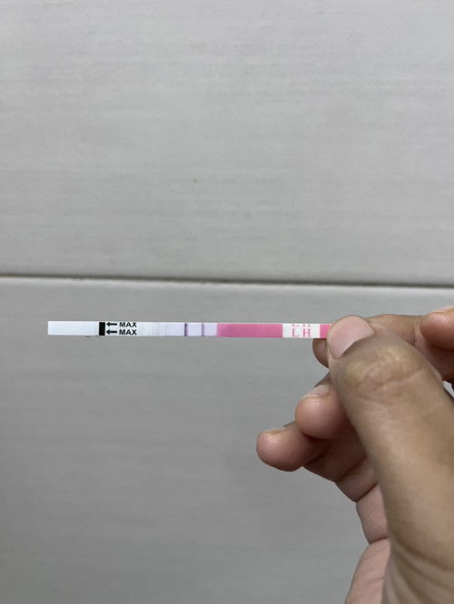 Fasa dpo (2ww)