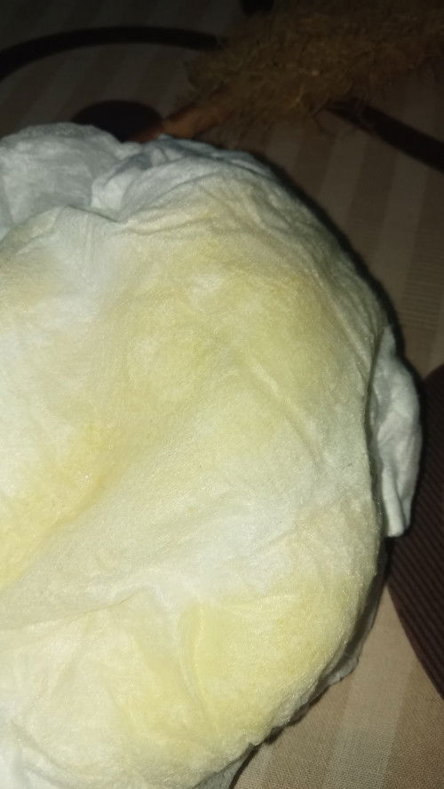 Anak ku usia 5 bln 20 hari