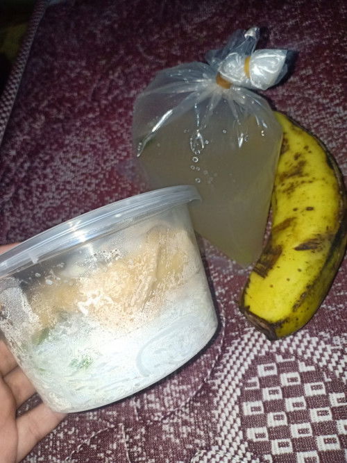 Makanan dari puskesmas untuk ibu hamil