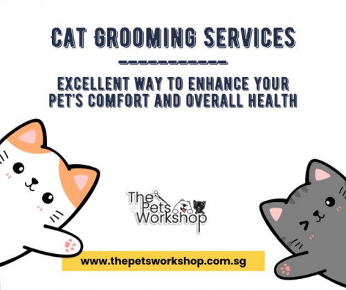 Why Invest in Professional Cat Grooming and Spa Services? — The Pets Workshop