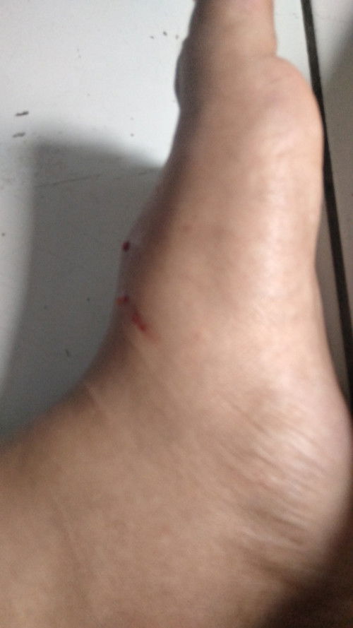 Mau tanya dong bunda bunda