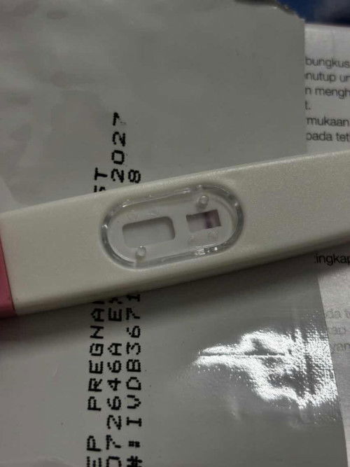 PREGNANCY TEST
