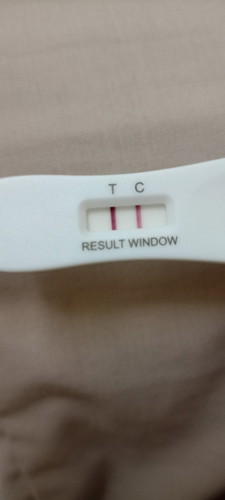 Lmp ; 2 november 2024
