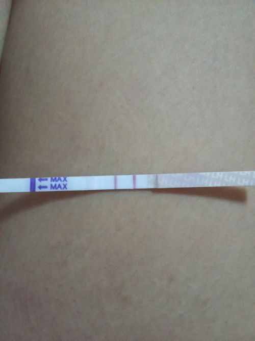 แบบนี้ไข่ตกมั้ยคะ