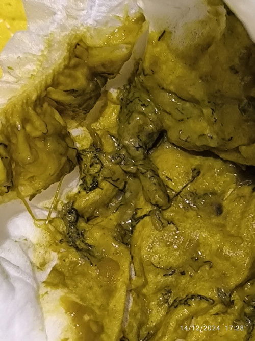 Tanya soal pup yg ada garis hitam