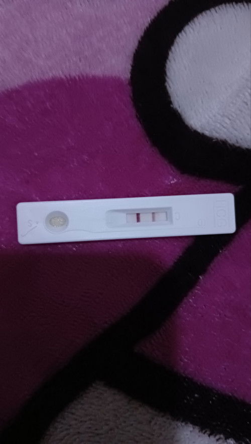 Pregnacy test
