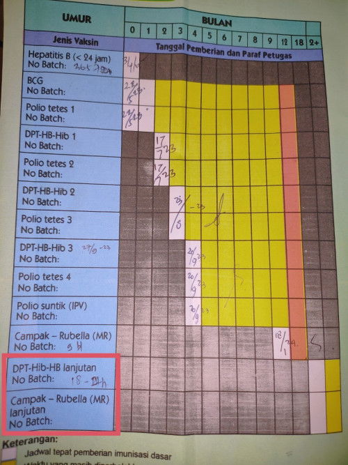 IMUNISASI ANAK