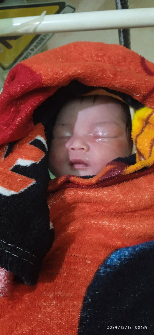 HPL 20 DESEMBER 2024