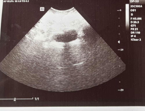 Ad nampak apa ii tak