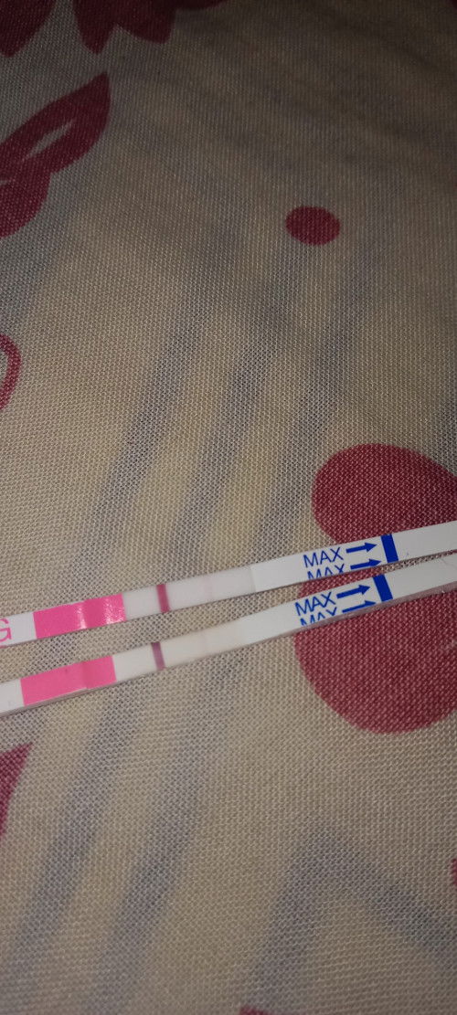 tespack garis 2 samar