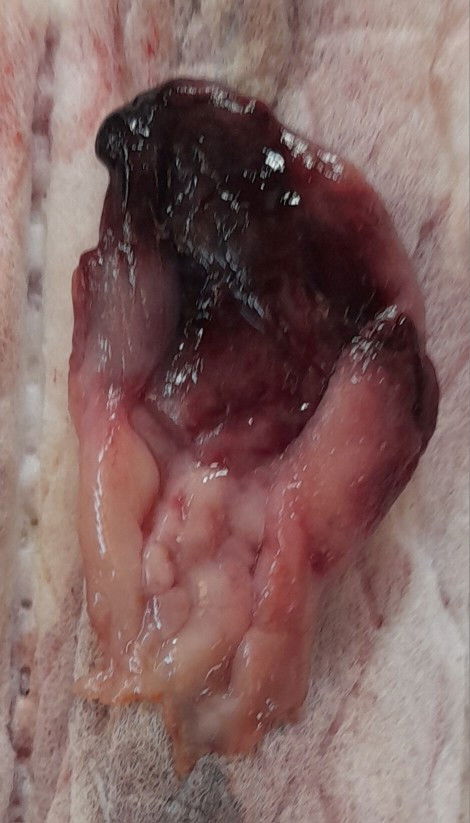 #ขอคำปรึกษากับแม่ๆด้วยนะคะ