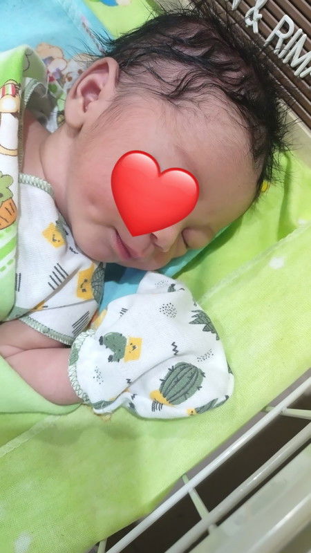 HPL 31 Desember 2024 Udah Launching Kemarin