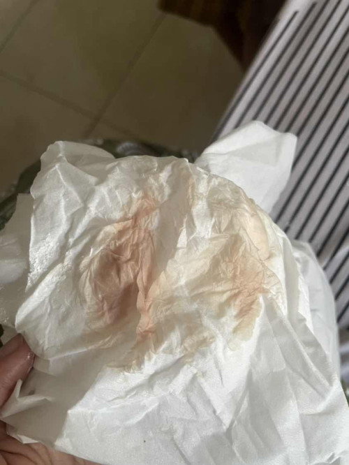 keputihan coklat