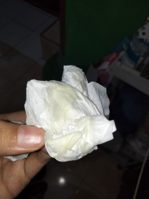 Alumni hpl 20 November