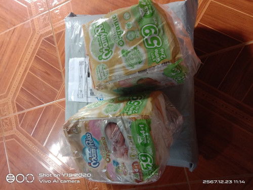 ปล่อยแพมเพิส ในราคาถูก