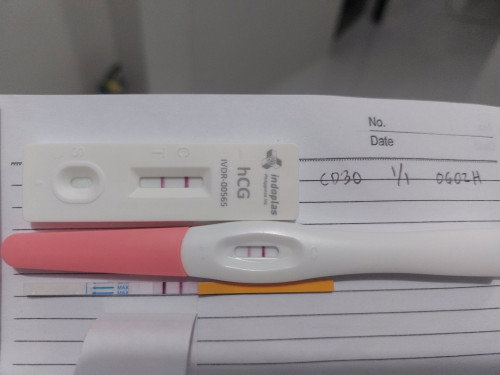4 weeks 1 day no symptoms