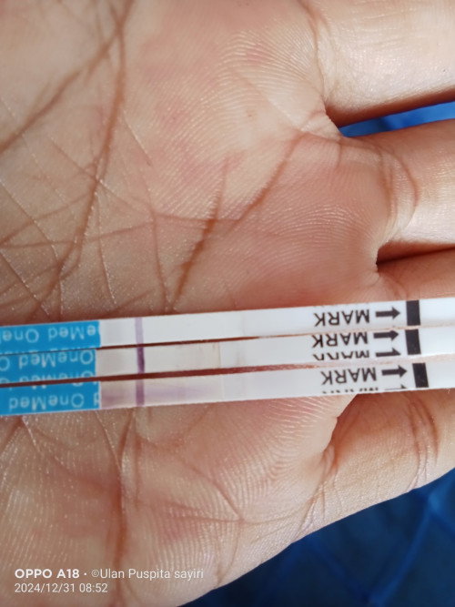 Seputar test pack