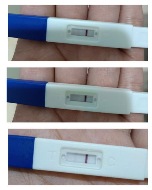 ตรวจครรภ์..