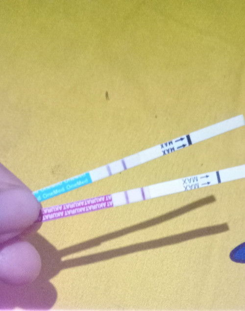 Hamil 8 minggu 6 day