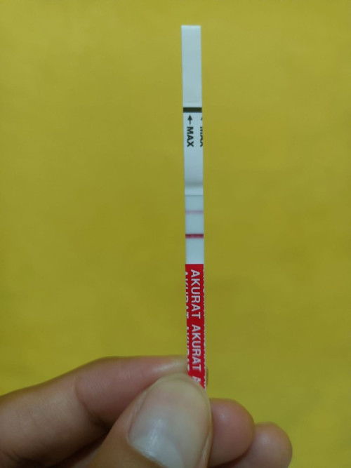 Apakah ada yg mengalami USG usia kehamilan 6 Minggu menurut HPHT, tapi tdk kelihatan kantungnya ?