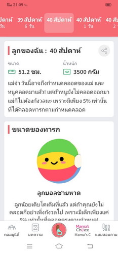 ทีมเดือนมกราคม