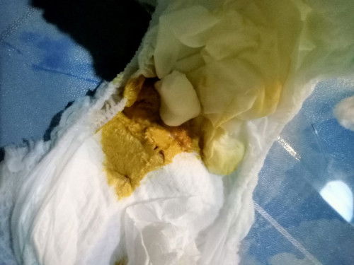 Bau bab bayi full asi