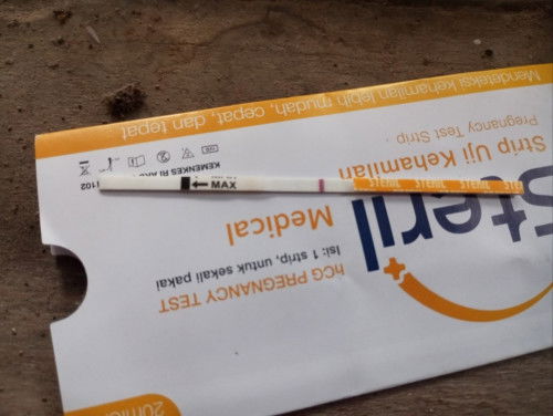 Samar samar yg hampir tidak terlihat