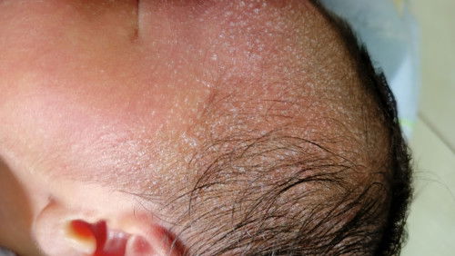 Bun mau tanyaa...tolong bantu di jawab yaa Bun 🙏