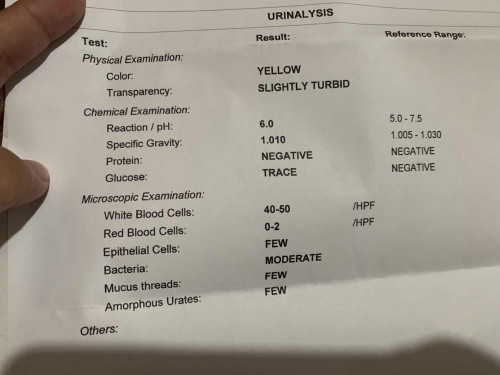 UTI at 36 weeks
