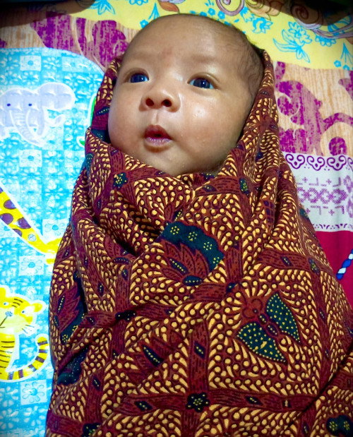 Indra penglihatan bayi 1 bulan