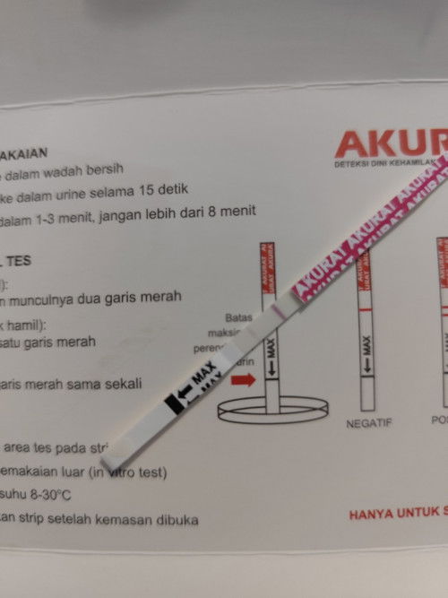 Apakah hamil?