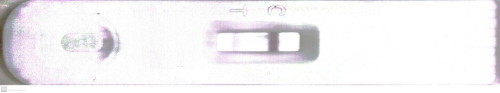 Faint Line pregnancy test