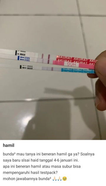 Testpack-hamil atau tidak?