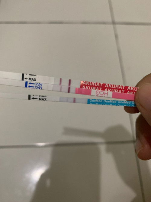 Testpack hamil atau tidak?