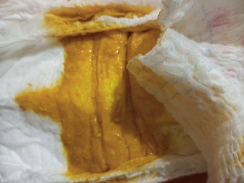 Jgn dibuka yg jijian