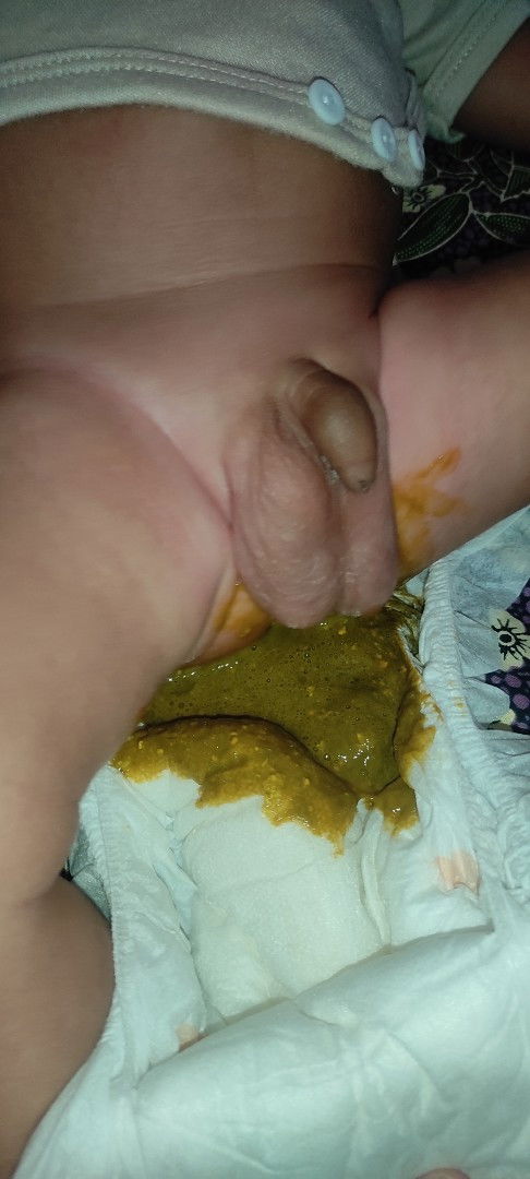 Pup bayi 2 bulan hijau, sufor BMT