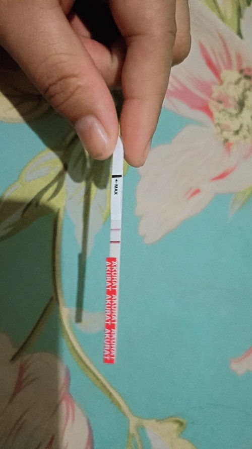 Hpl 9 september 2025