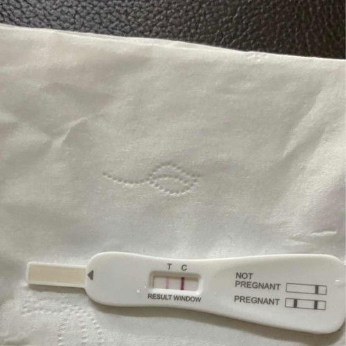 Pergnant test di rumah