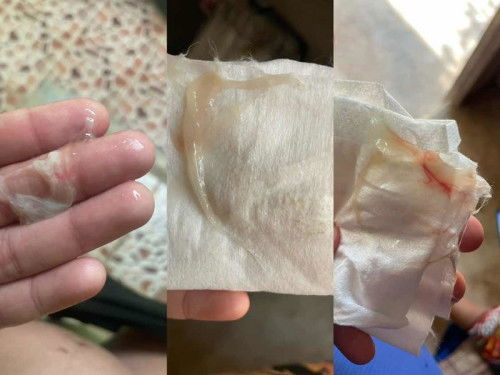 แบบนี้หิ้วตะกร้าไปเลยมั้ยแม่ๆ