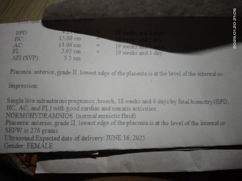 Low lying placenta grade II