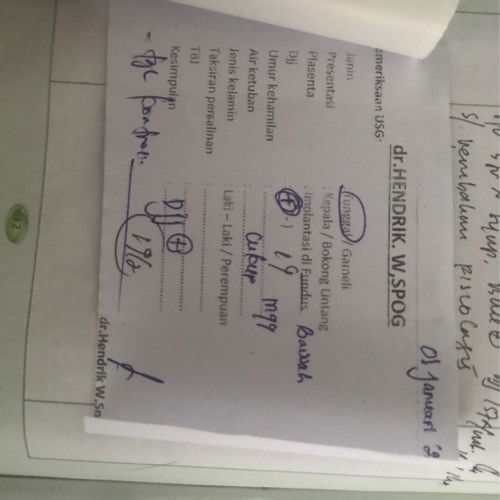 Letak plasenta di fundus bawah