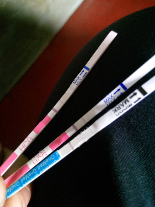 Bantu jawab dong bun.. aku bingung