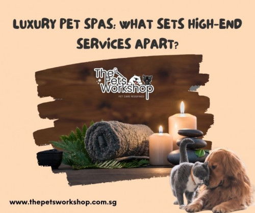 Lavish Living for Pets: Inside the World of Luxury Spas for Furry Companions — The Pets Workshop