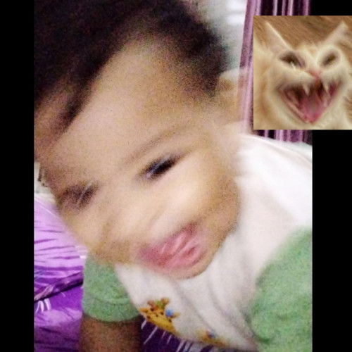 bayi 7 bulan jarang bab