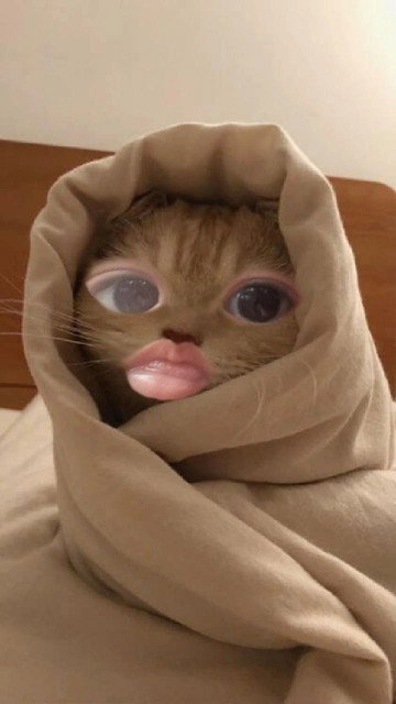 Lidah bayi