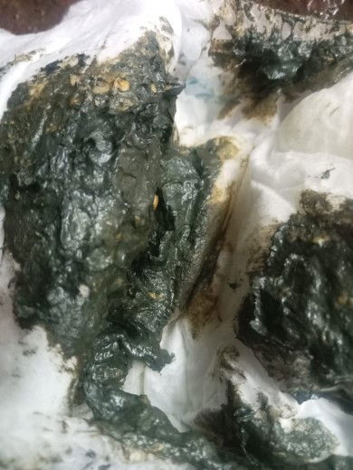 Tolong siapa pu yang pernah ngalamin anaknya yang pup kyak gini